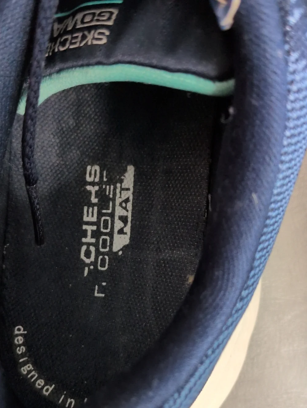 Skechers blue go